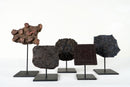 Indian Textile Print Blocks