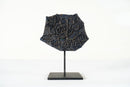 Indian Textile Print Blocks