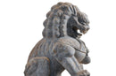 A Pair of Carved Stone Fu dogs