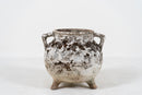 A Willy Guhl "Marmite” Planter