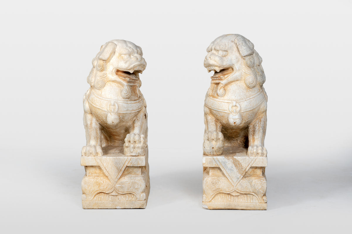 A Pair of Chinese Foo Dogs