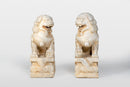 A Pair of Chinese Foo Dogs