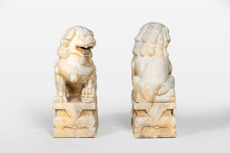 A Pair of Chinese Foo Dogs