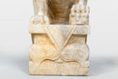 A Pair of Chinese Foo Dogs