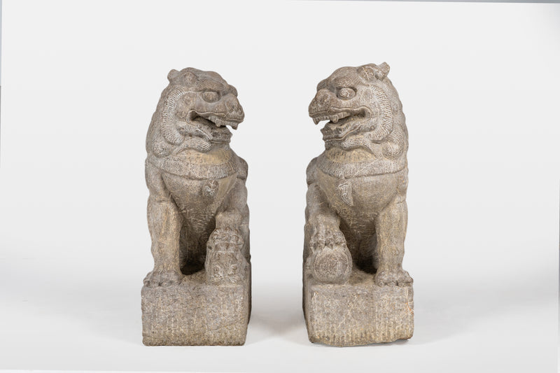 A Pair of Chinese Foo Lions