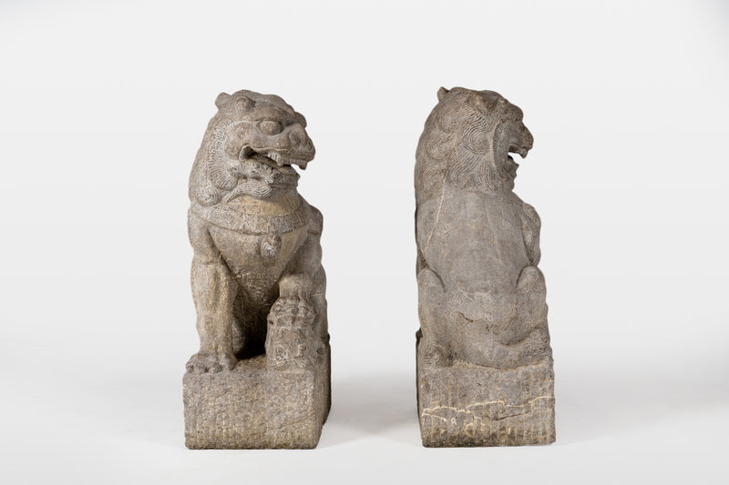 A Pair of Chinese Foo Lions