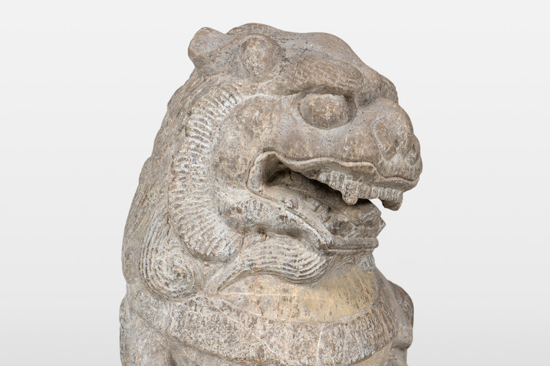 A Pair of Chinese Foo Lions