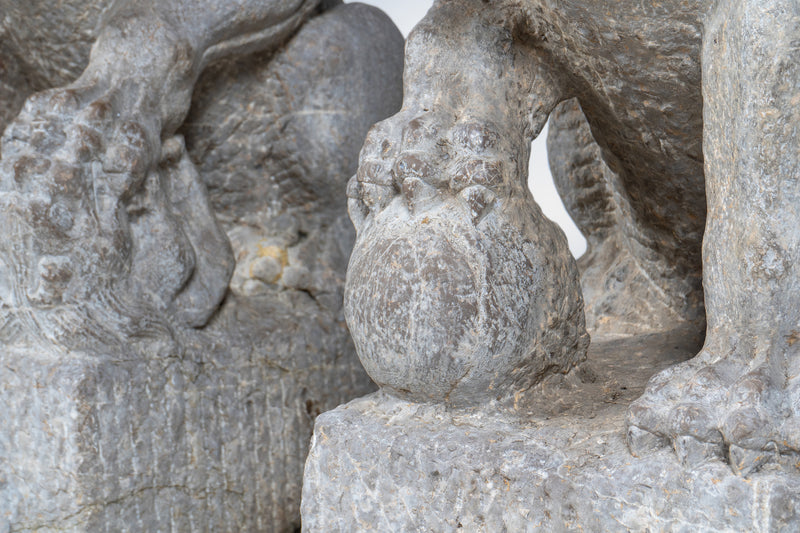 A Pair of Chinese Foo Lions