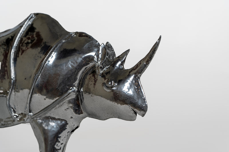 A Metal Standstill Rhinocerous