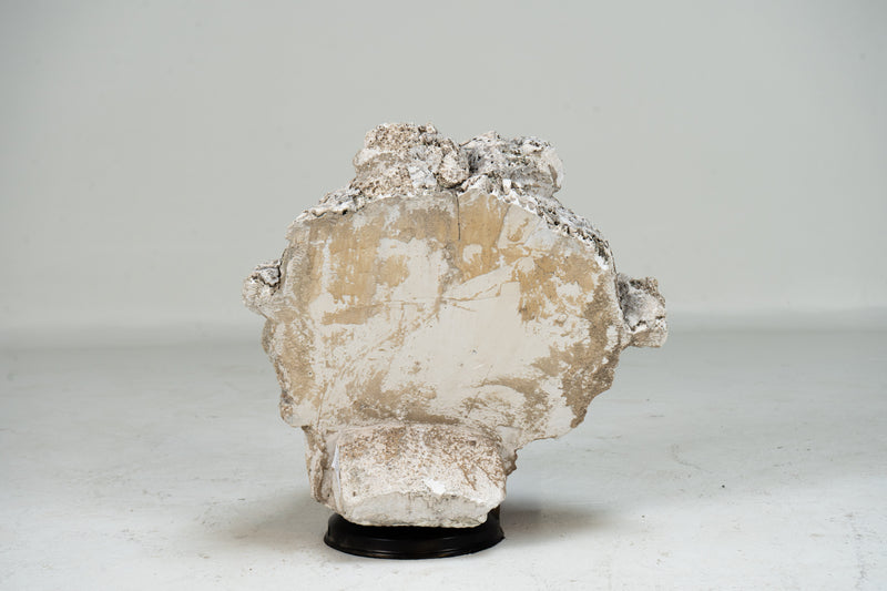 A Plaster Sculpture of an Infant face