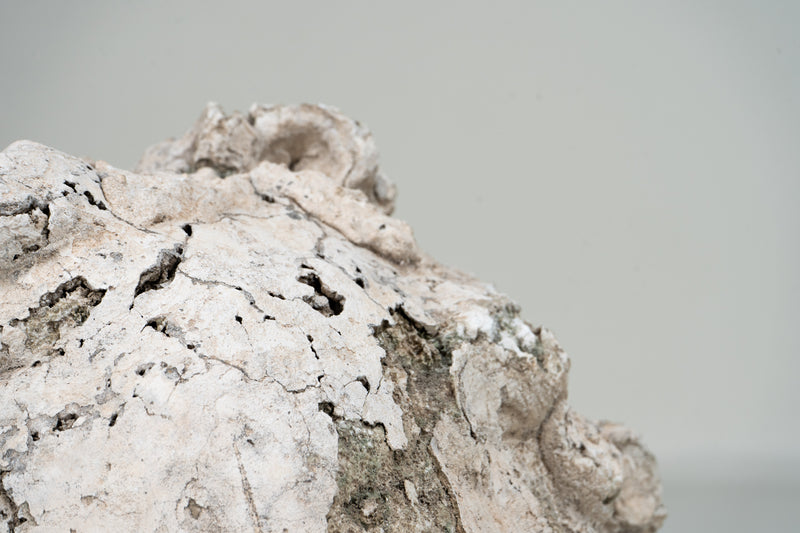 A Plaster Sculpture of an Infant face