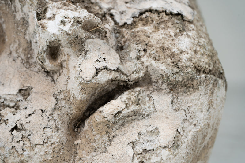 A Plaster Sculpture of an Infant face