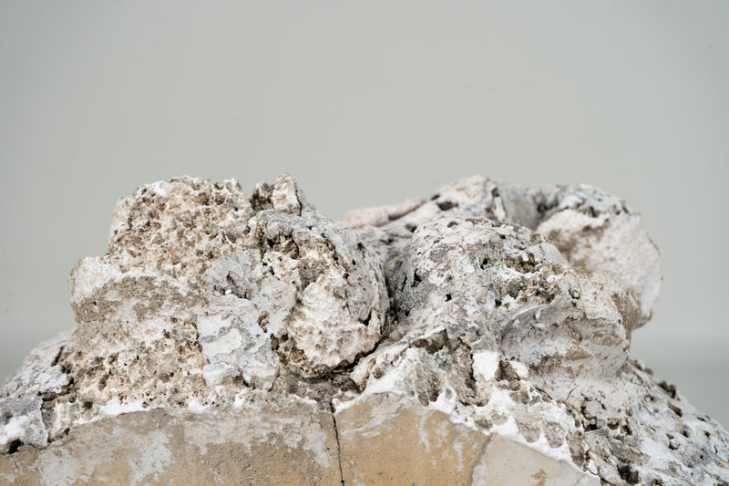 A Plaster Sculpture of an Infant face