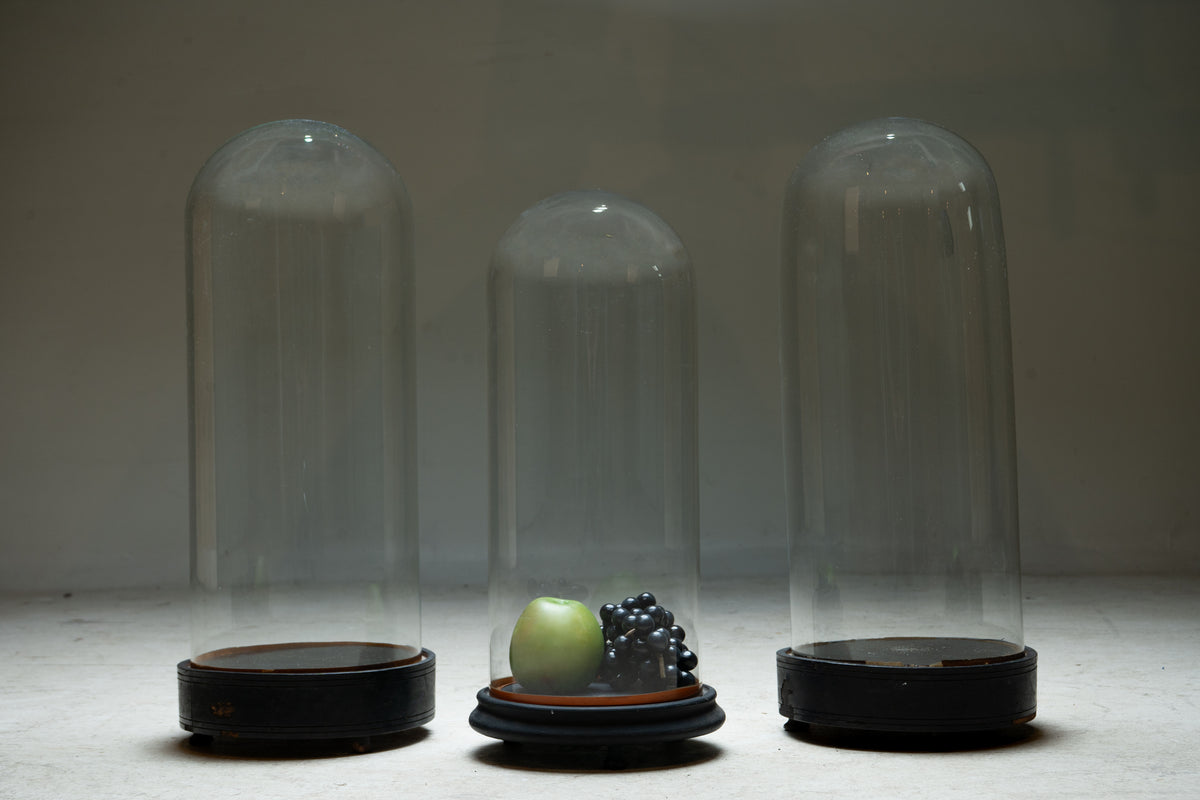 A French Napoleon III Glass Cloche