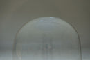 A French Napoleon III Glass Cloche