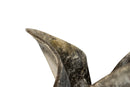 A Willy Guhl Cement Garden planter