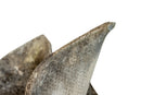 A Willy Guhl Cement Garden planter
