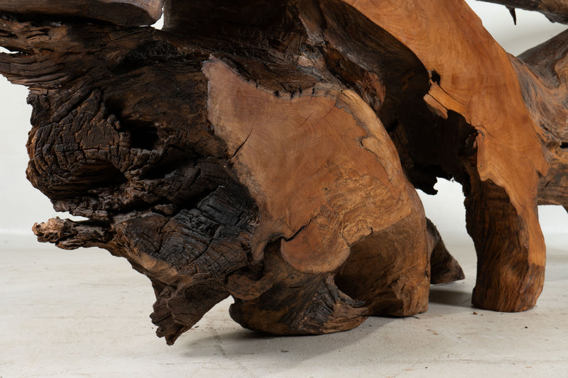 A Tree Root Console Table