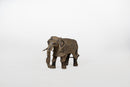A Brass Figure of an Elephant