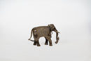 A Brass Figure of an Elephant