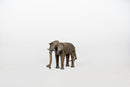 A Brass Figure of an Elephant
