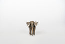 A Brass Figure of an Elephant