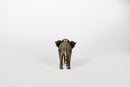 A Brass Figure of an Elephant