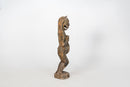 A Nepalese Lion Figure Guard