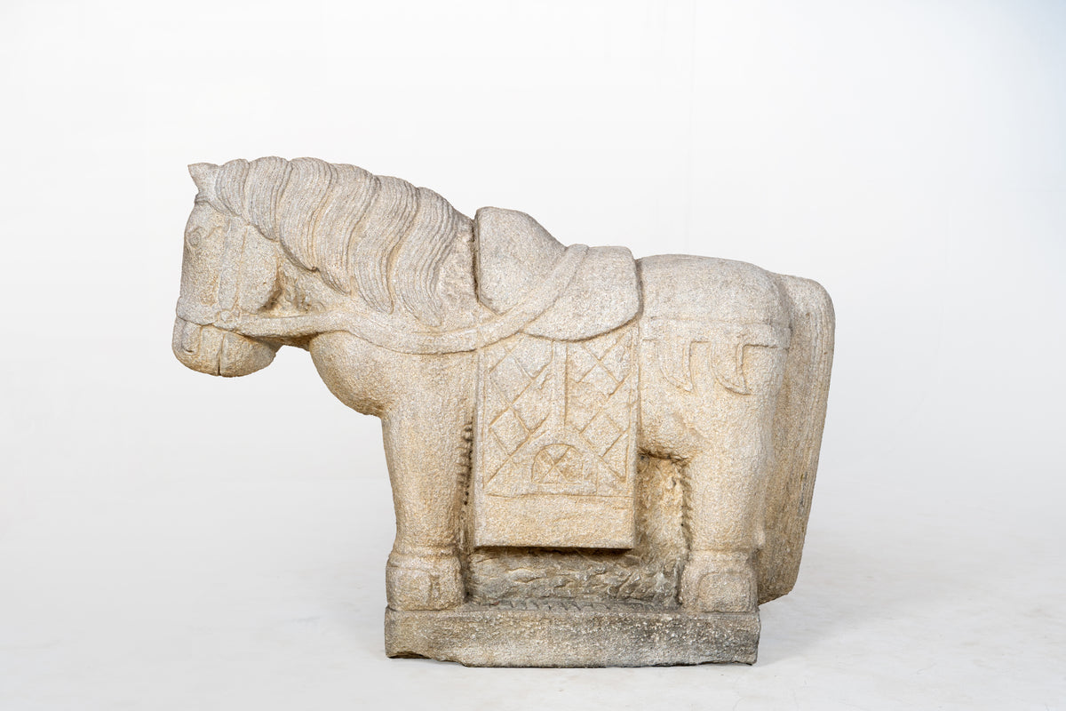 25T01221_A_Limestone_Horse_01_