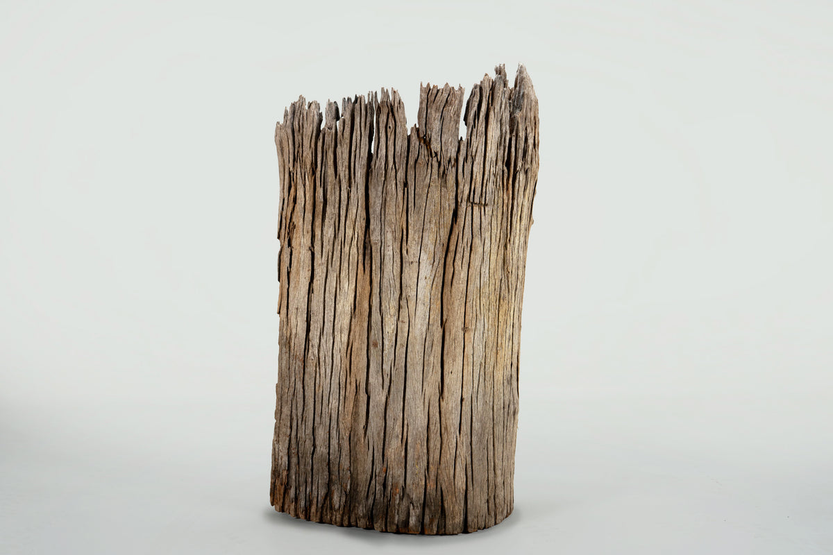 A Teakwood Tree Trunk Sculpture