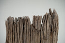 A Teakwood Tree Trunk Sculpture