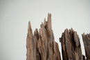 A Teakwood Tree Trunk Sculpture