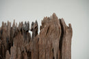 A Teakwood Tree Trunk Sculpture