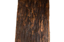 A Monumental Nagaland Totem
