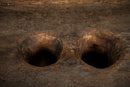 A Nagaland Rice Pounder