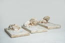 A Chinese Marble Ink Tray