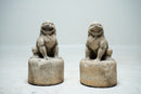 A Pair of Chinese Limestone Miniature Foo Dogs
