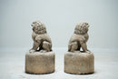 A Pair of Chinese Limestone Miniature Foo Dogs