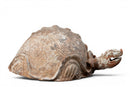 A Terracotta Tortoise Figure