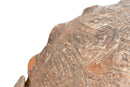 A Terracotta Tortoise Figure