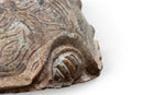 A Terracotta Tortoise Figure