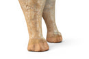 A Green-Glazed Pottery Figure of a Dog