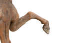 A Figure of a Prancing Horse