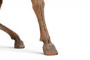 A Figure of a Prancing Horse