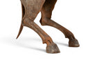 A Figure of a Prancing Horse