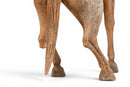 A Figure of a Prancing Horse