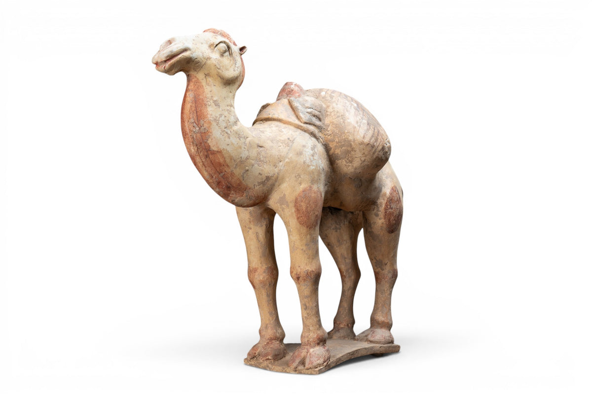 A White Pottery Tang Camel