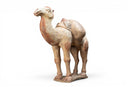 A White Pottery Tang Camel