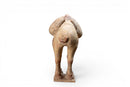 A White Pottery Tang Camel