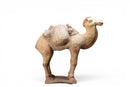 A White Pottery Tang Camel